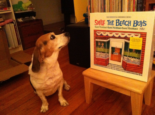 Ruthie the Beagle (c. 2004 - 2018) in awe over The Smile Sessions